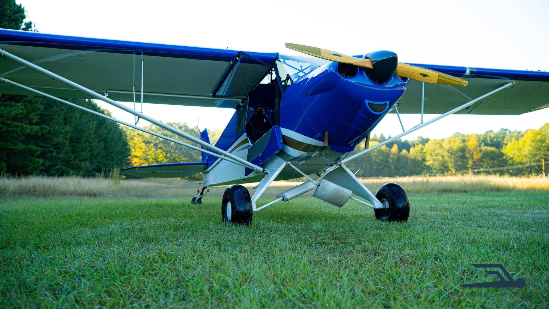 Dragonfly Aviation Fleet Dragonfly Aviation Aircraft Fleet
